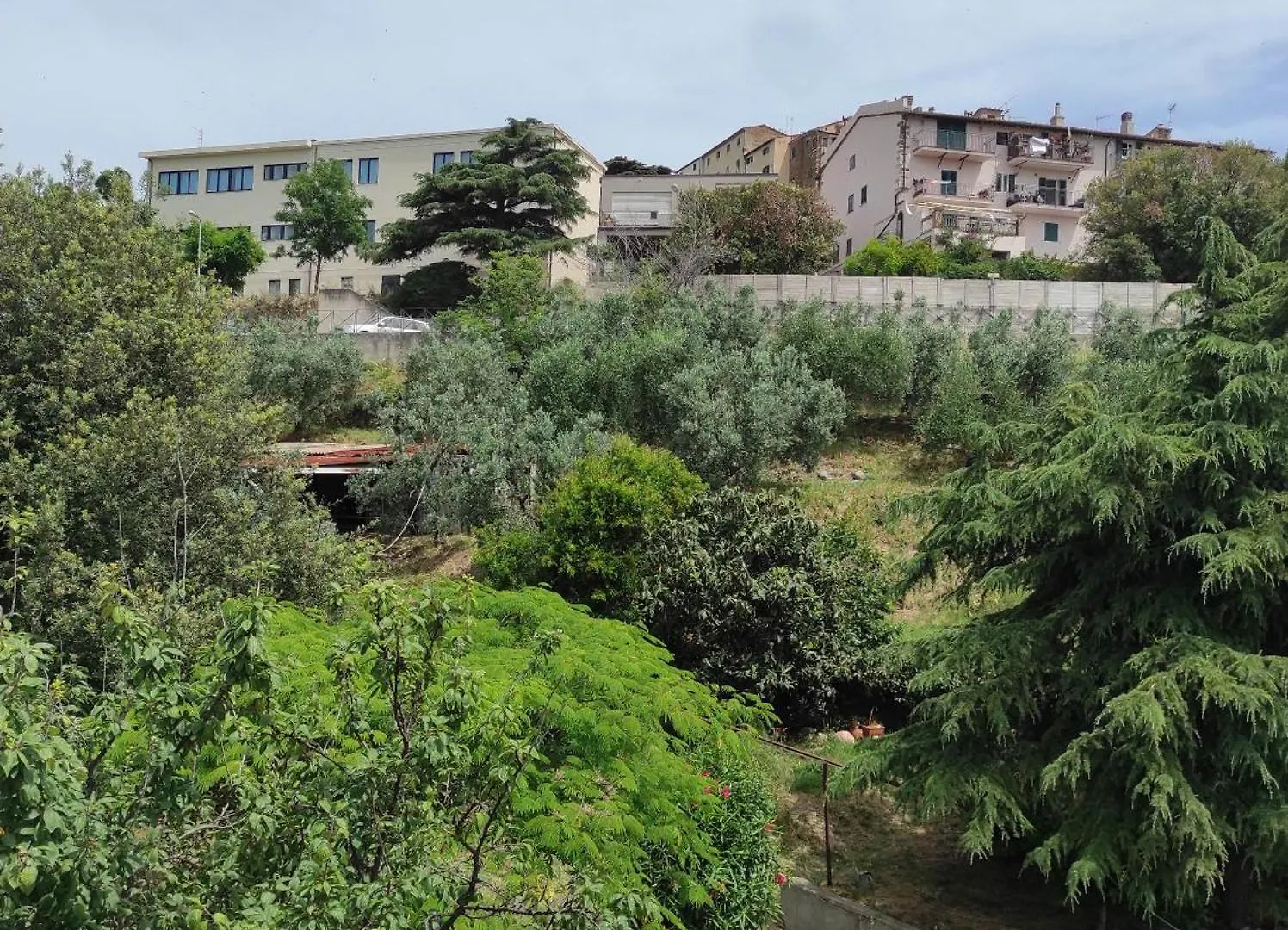 Casa Dei Nonni 57021 Διαμέρισμα Campiglia Marittima